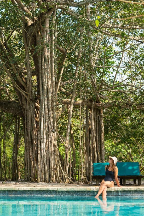 Kaav Safari Lodge, Kabini Begūr エクステリア 写真