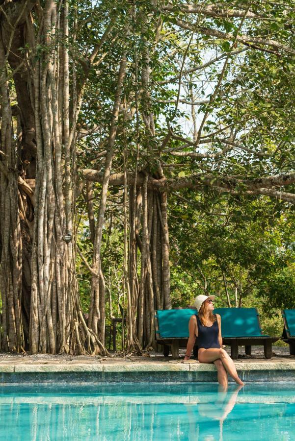 Kaav Safari Lodge, Kabini Begūr エクステリア 写真