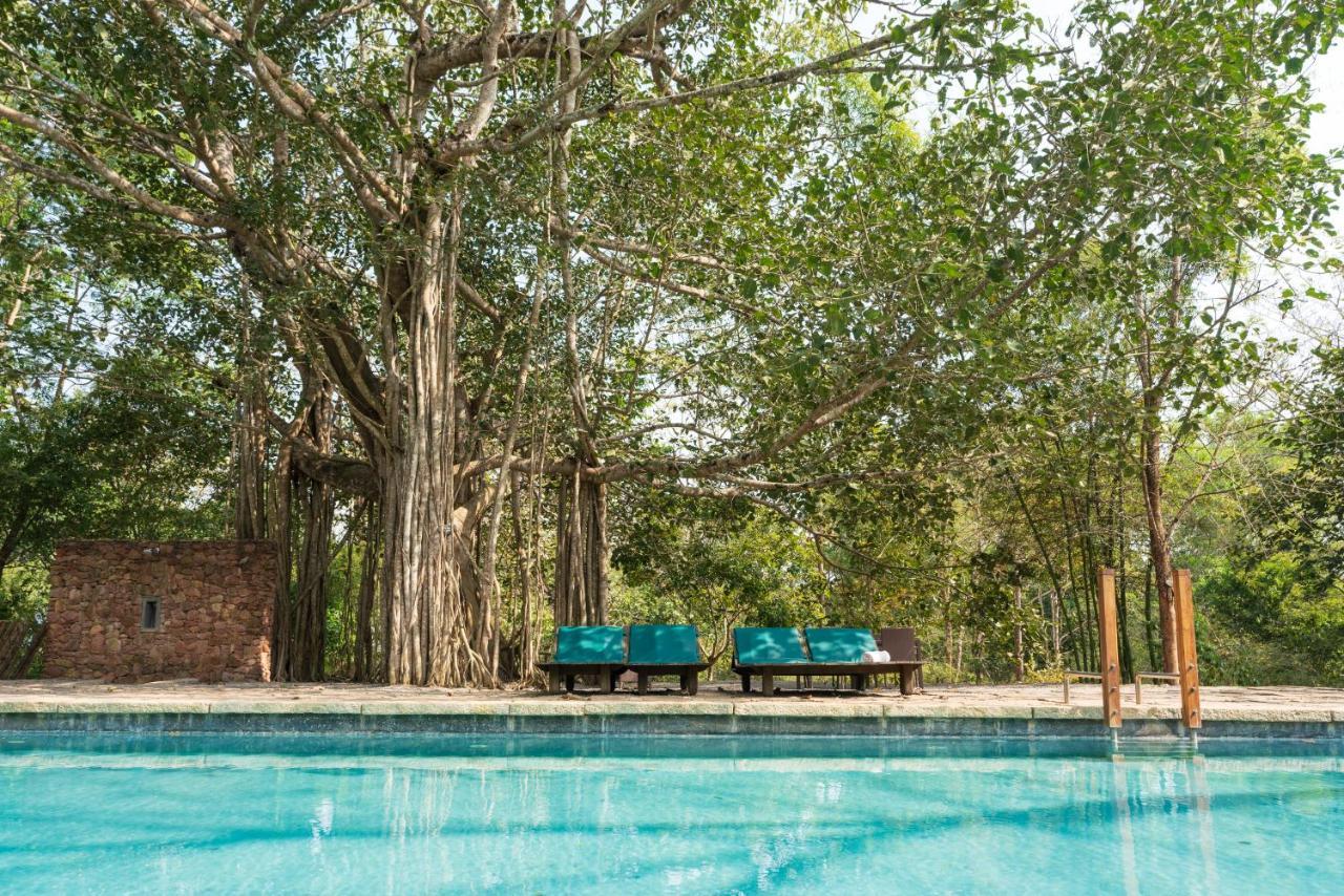 Kaav Safari Lodge, Kabini Begūr エクステリア 写真