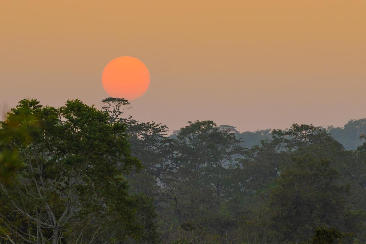 Kaav Safari Lodge, Kabini Begūr エクステリア 写真